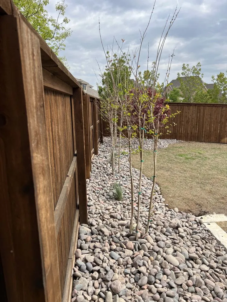 Professional garden landscaping in Frisco, TX by Dreamscape Landscaping Designs