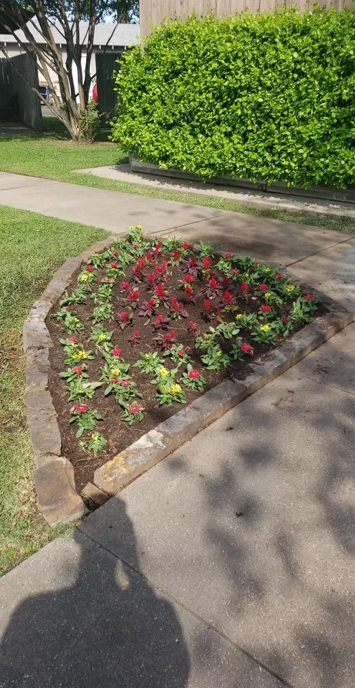 Reliable outdoor landscaping experts serving Frisco, TX - Dreamscape Landscaping Designs