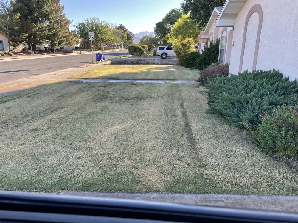 Expert yard maintenance in Las Cruces, NM by Dreamscape Landscaping