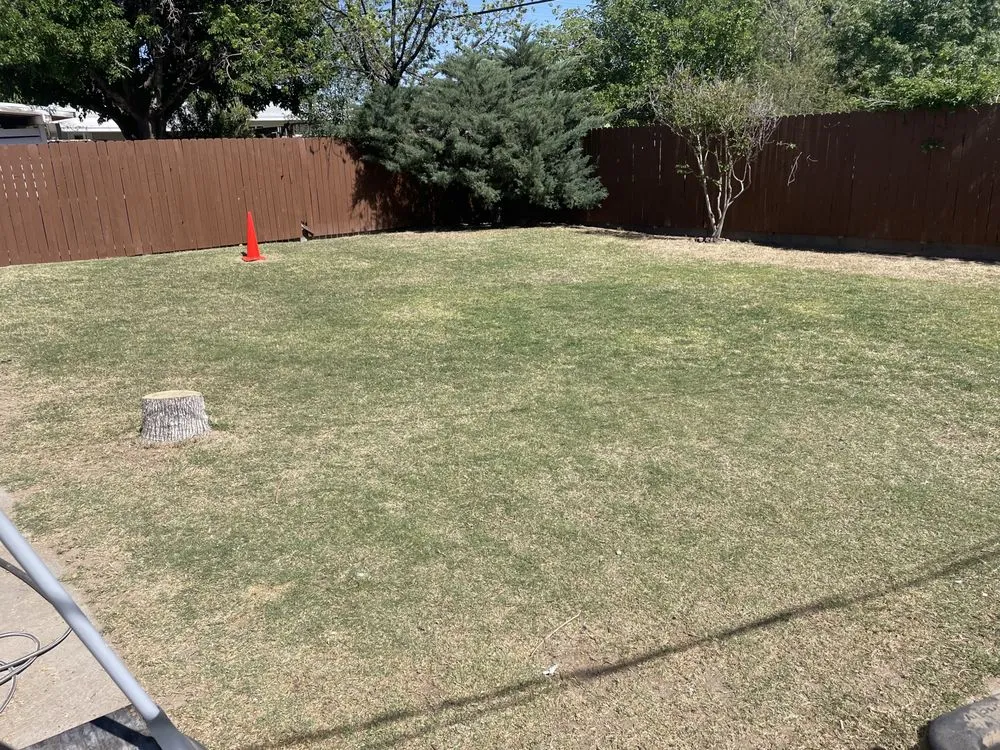 Trusted lawn mowing service for homes across Las Cruces, NM - Dreamscape Landscaping