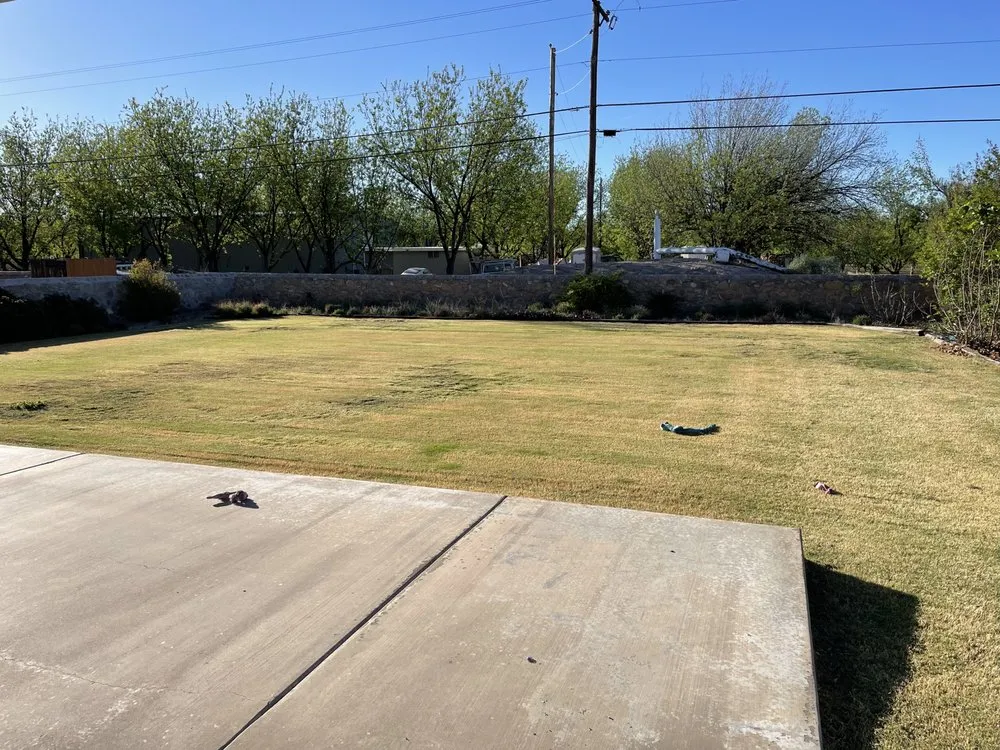Custom landscaping services in Las Cruces, NM - Dreamscape Landscaping