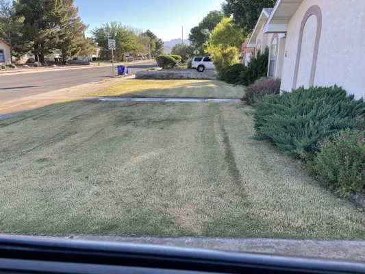 Dreamscape Landscaping Logo