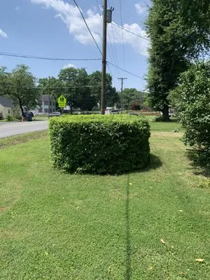 DreamScape Landscaping Logo