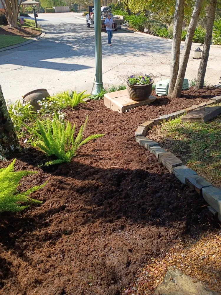 Trusted yard maintenance in Lafayette, LA by Dreamscape Lawn Care and More