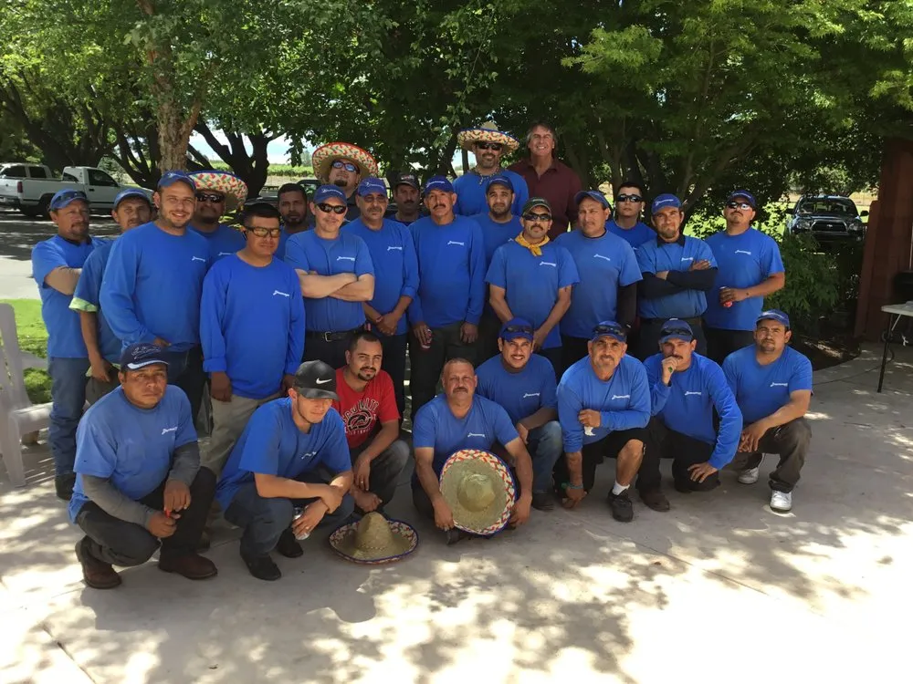 Reliable yard maintenance experts serving Manteca, CA - Dreamscape