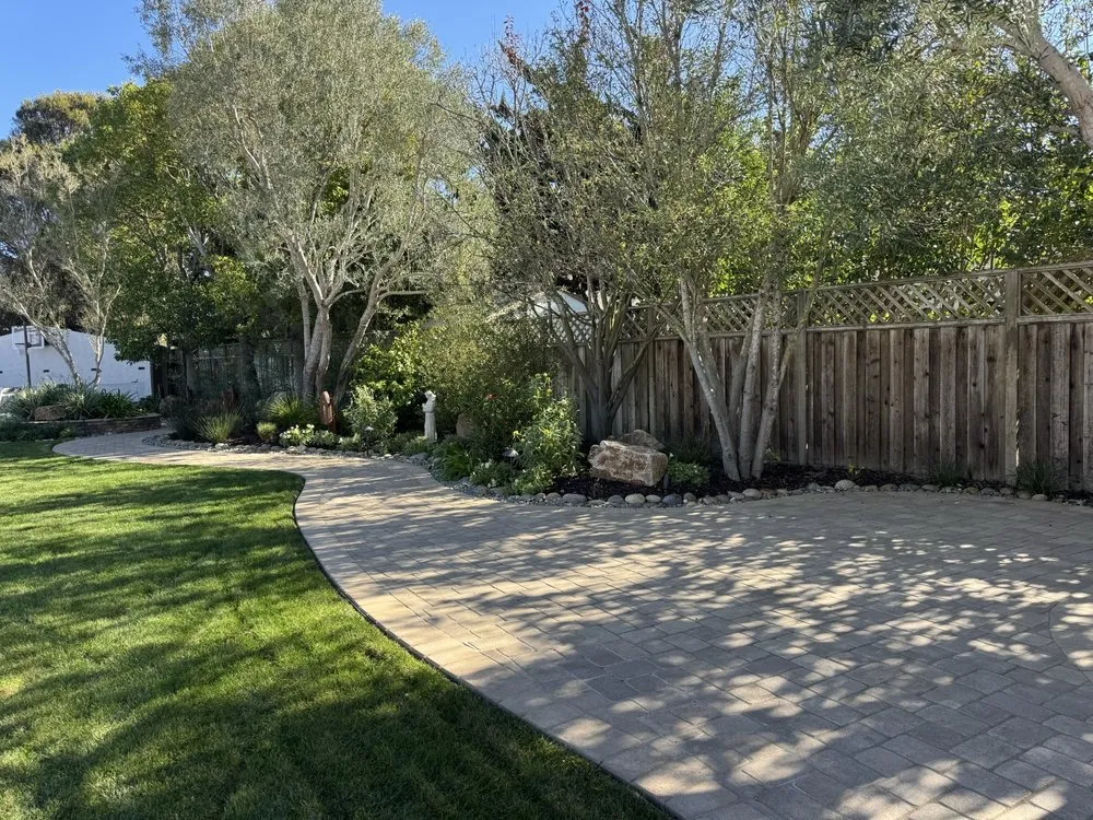 Expert yard cleanup service in Orcutt, CA - Dreamscape