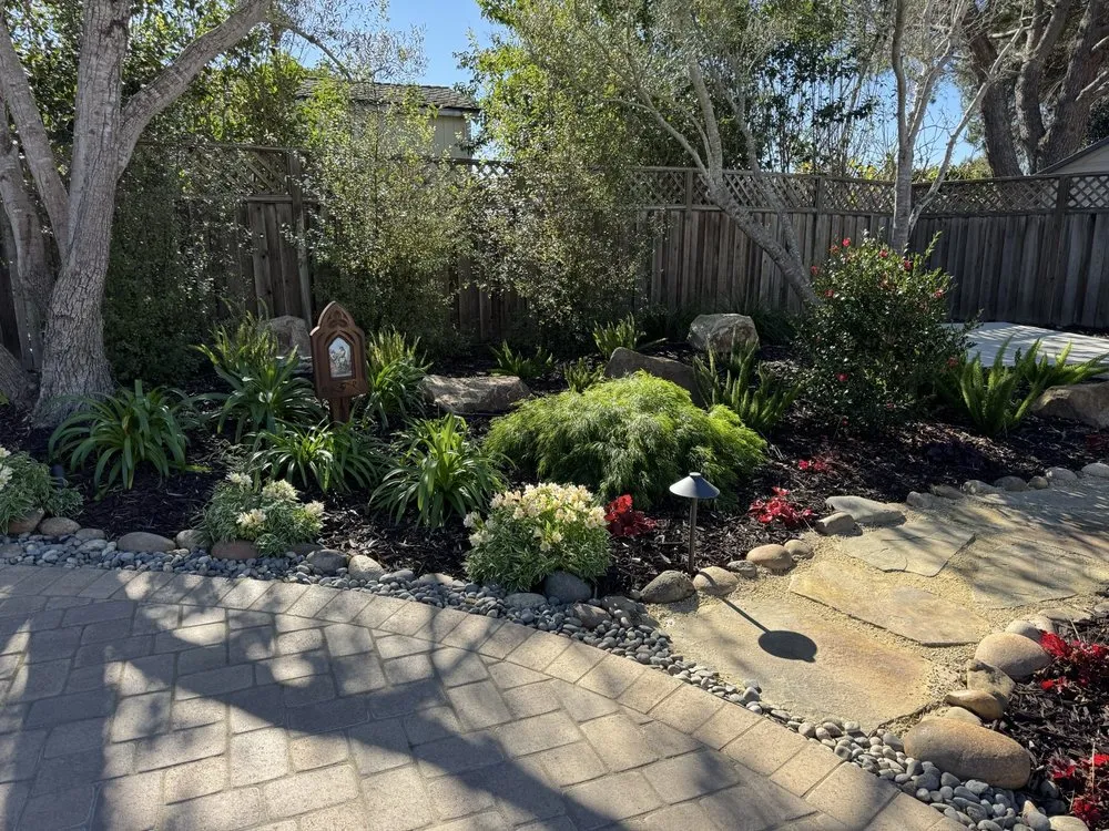 Reliable lawn mowing service for year-round maintenance across Orcutt, CA - Dreamscape