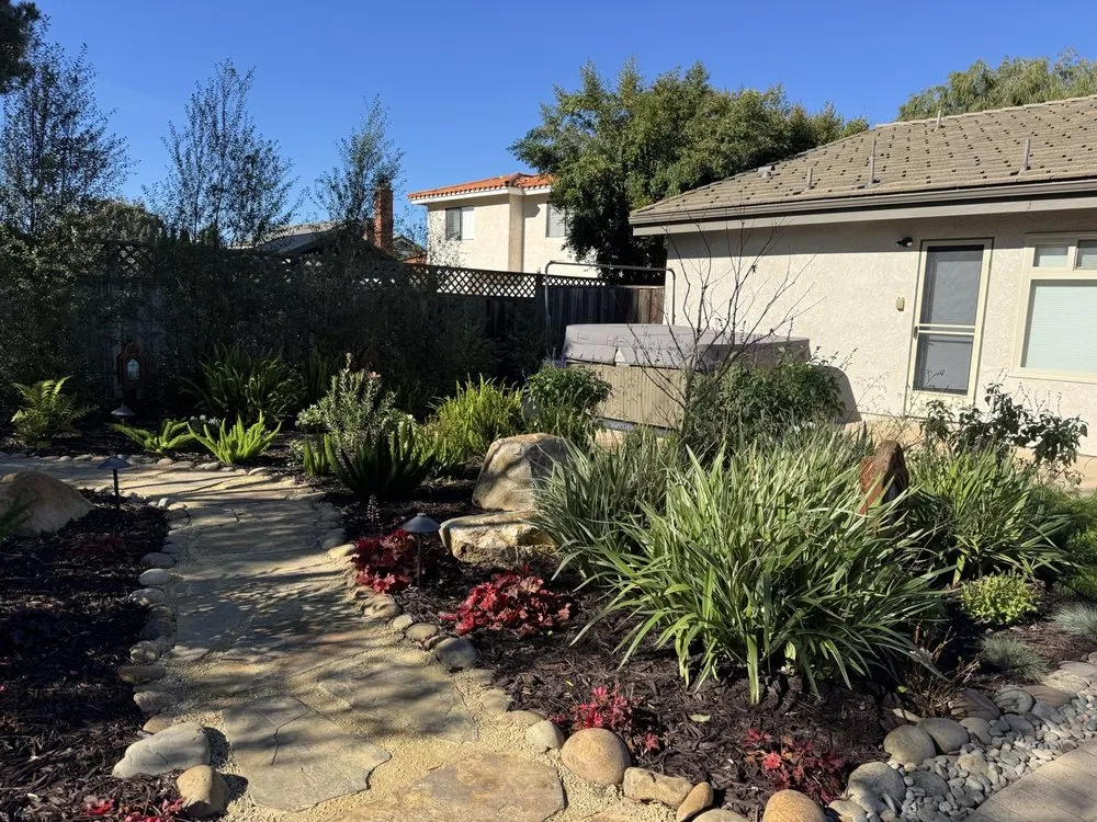 Local yard cleanup service for residential properties in Orcutt, CA by Dreamscape