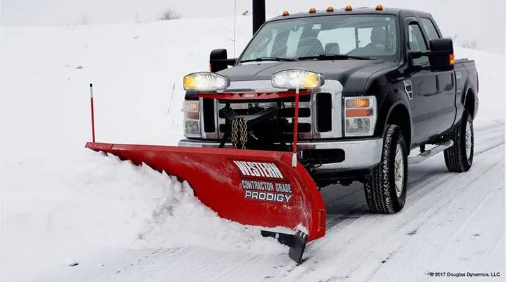 Professional yard cleanup service in Sturtevant, WI - Dreamscape Outdoors