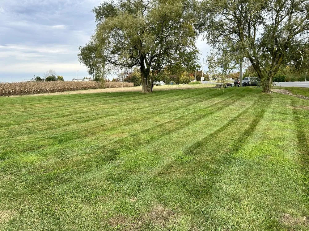 Trusted landscaping services in Georgetown, DE by Dreamscape Property Services