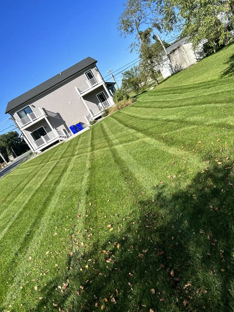 Custom landscaping services in Georgetown, DE by Dreamscape Property Services