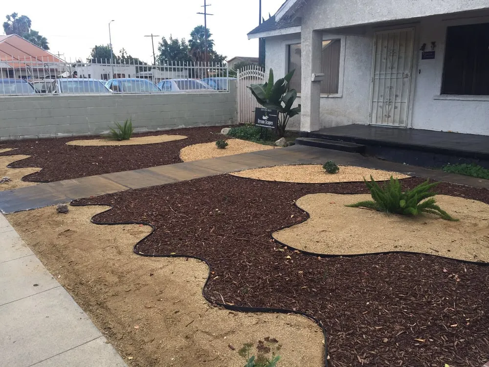 Trusted lawn care service in Los Angeles, CA by DreamScapes Drought Tolerant Lawn Design