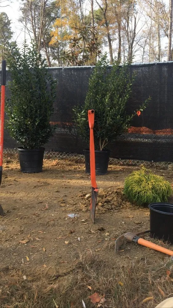 Reliable lawn care service in Glen Allen, VA - Dreamscapes