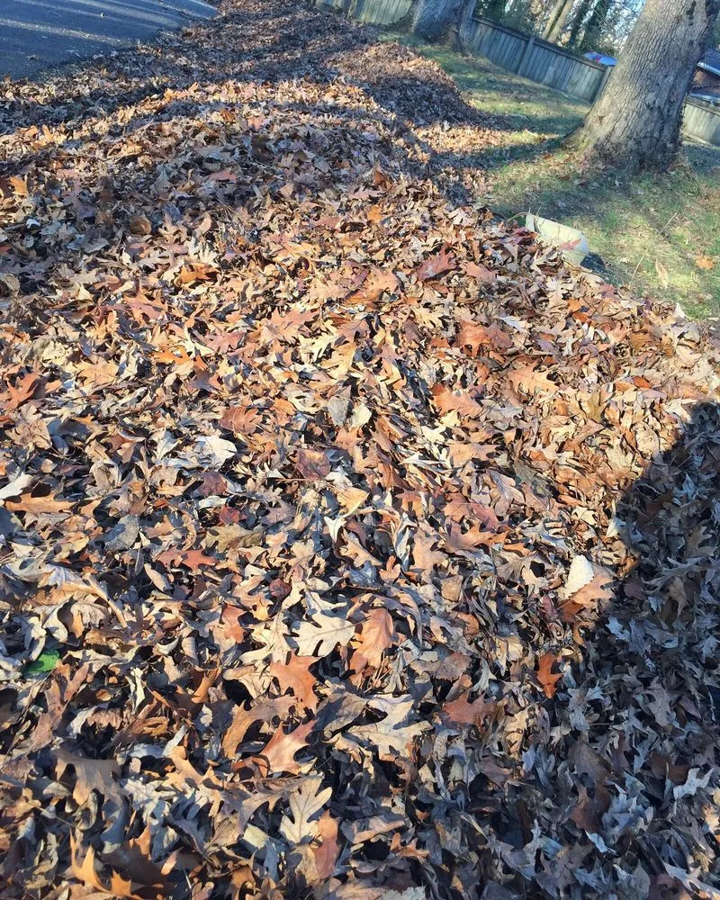 Professional landscape installation in Glen Allen, VA by Dreamscapes