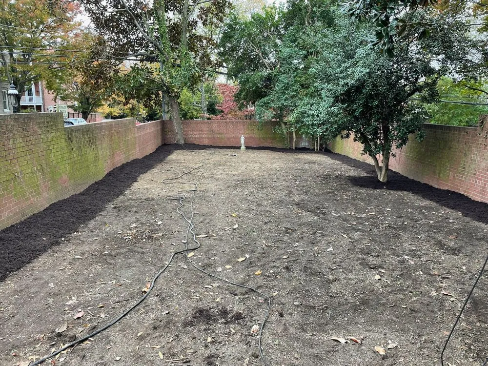 Local yard maintenance in Glen Allen, VA - Dreamscapes