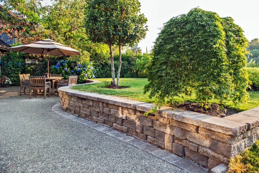 Local yard cleanup service experts serving Bothell, WA - Dreamscapes Landscape & Design