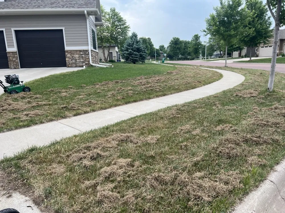 Affordable yard cleanup service experts serving Sioux Falls, SD - Dreamscapes Landscape and Design