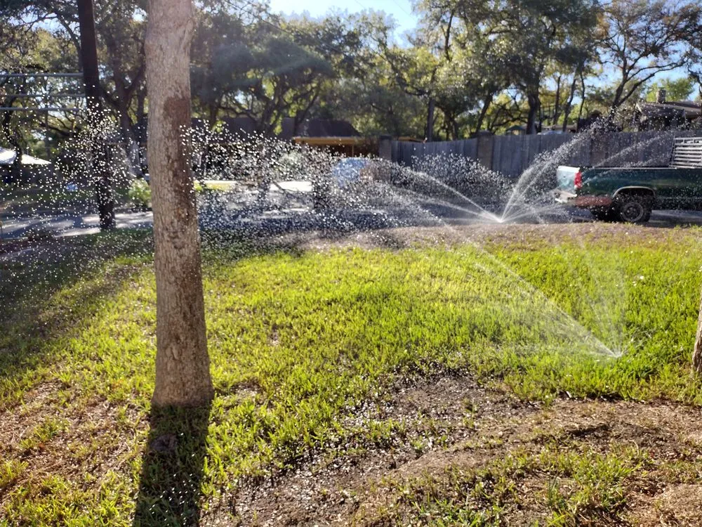 Top-rated landscaping services for year-round maintenance in San Antonio, TX by Dreamscapes landscaping and irrigation