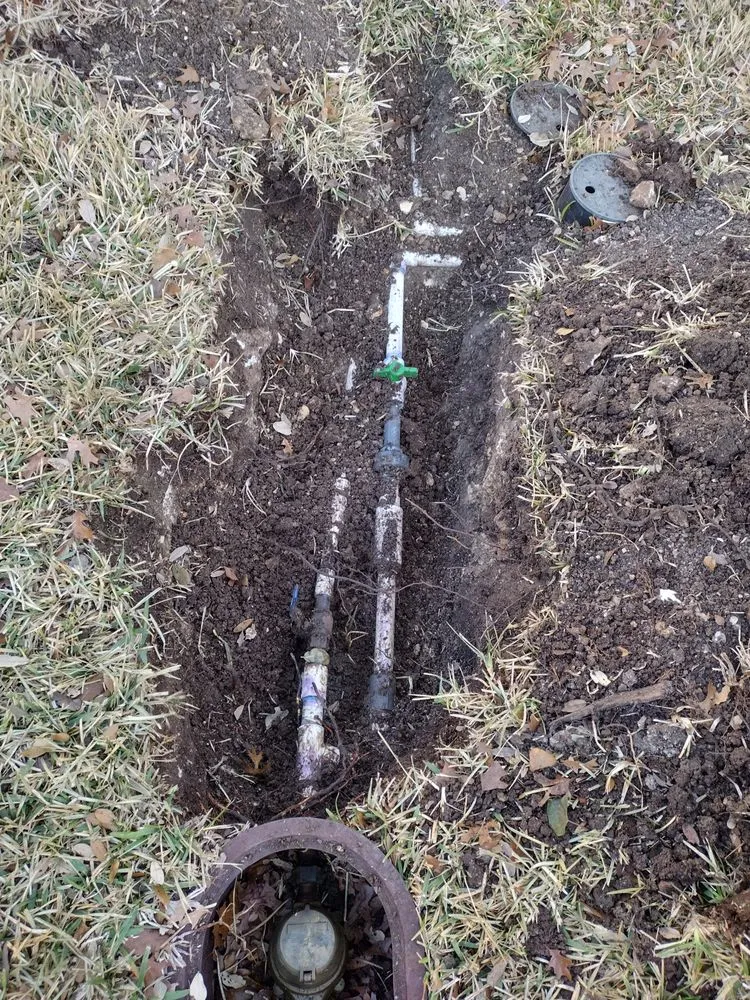 Expert yard cleanup service experts serving San Antonio, TX - Dreamscapes landscaping and irrigation