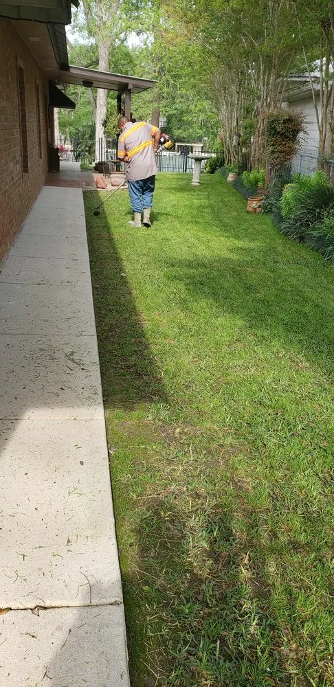 Expert lawn care service for outdoor upgrades across San Antonio, TX - Dreamscapes landscaping and irrigation