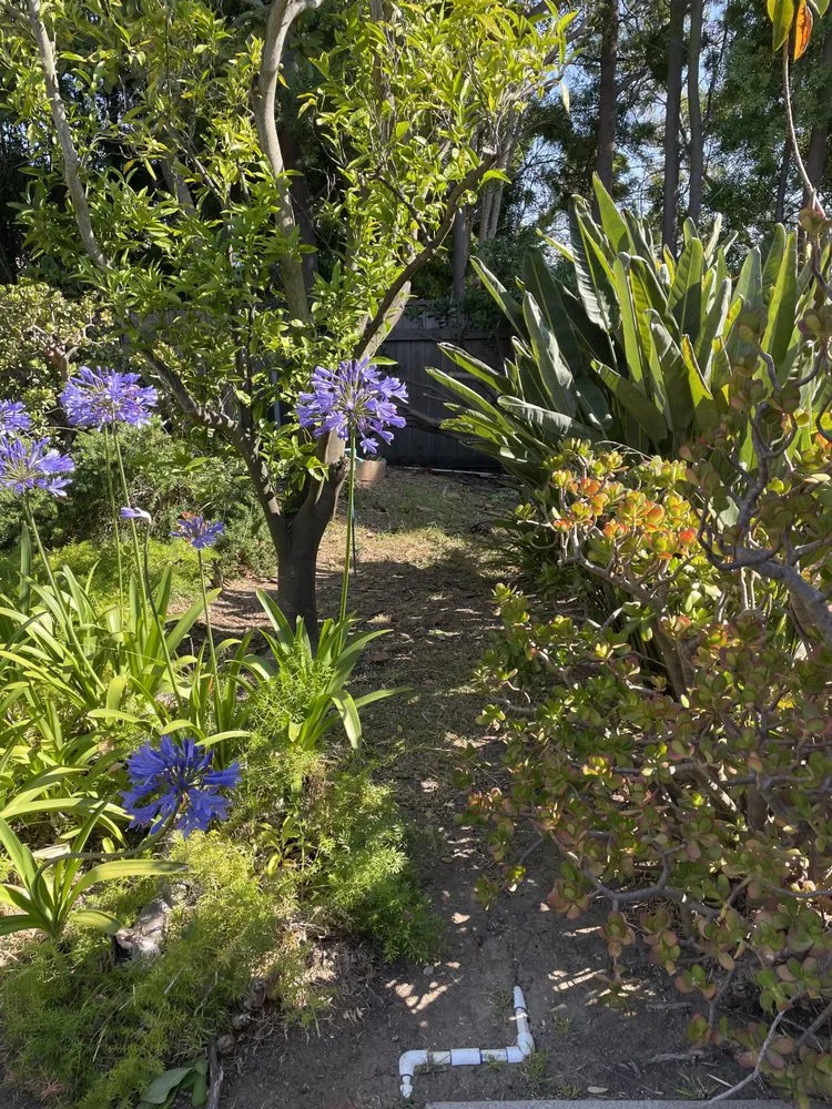 Expert landscape design in Glendora, CA - Dreamscapes Landscaping