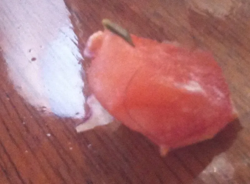 Expert landscape installation experts serving Glendora, CA - Dreamscapes Landscaping