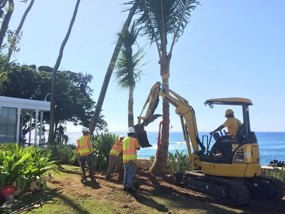 Affordable residential landscaping in Honolulu, HI by Dreamscapes Landscaping