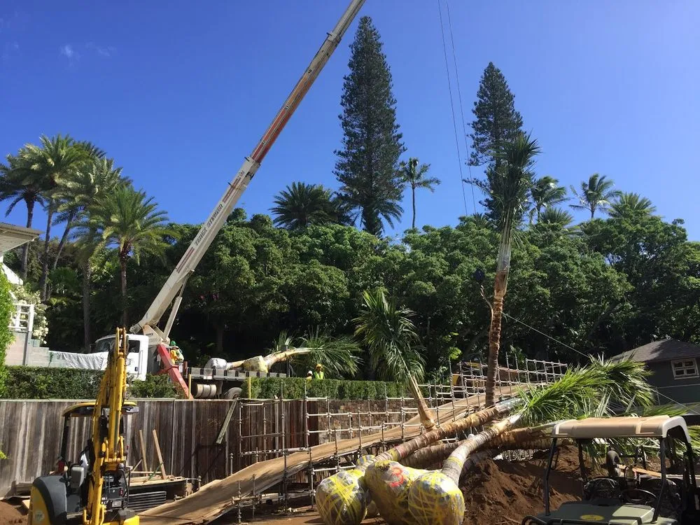 Top-rated lawn mowing service experts serving Honolulu, HI - Dreamscapes Landscaping