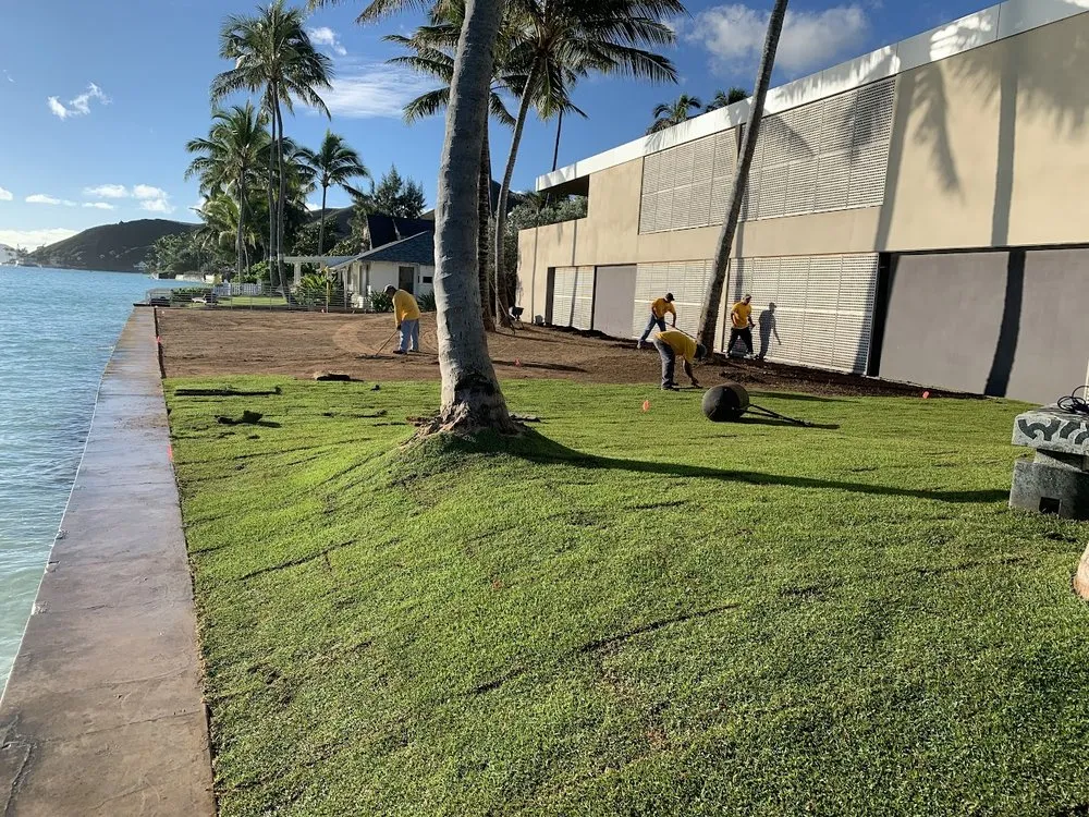 Top-rated lawn care service experts serving Honolulu, HI - Dreamscapes Landscaping