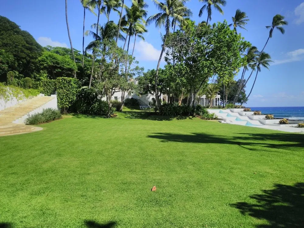 Custom residential landscaping for residential properties across Honolulu, HI - Dreamscapes Landscaping