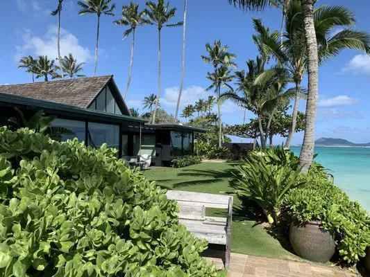 Dreamscapes Landscaping Logo