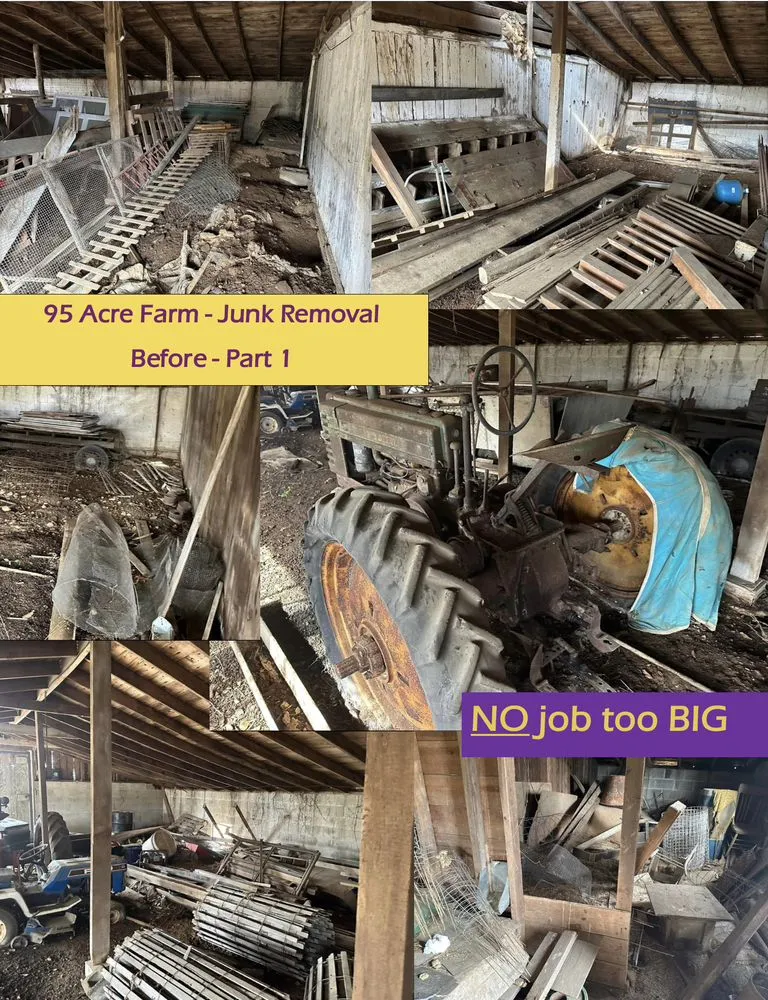 Top-rated yard cleanup service in Langhorne, PA - Dreamscapes