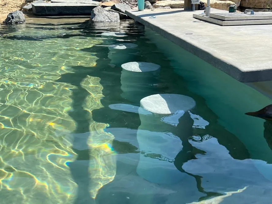 Reliable yard maintenance for year-round maintenance across Knapp, WI - Dreamscapes Natural Pools