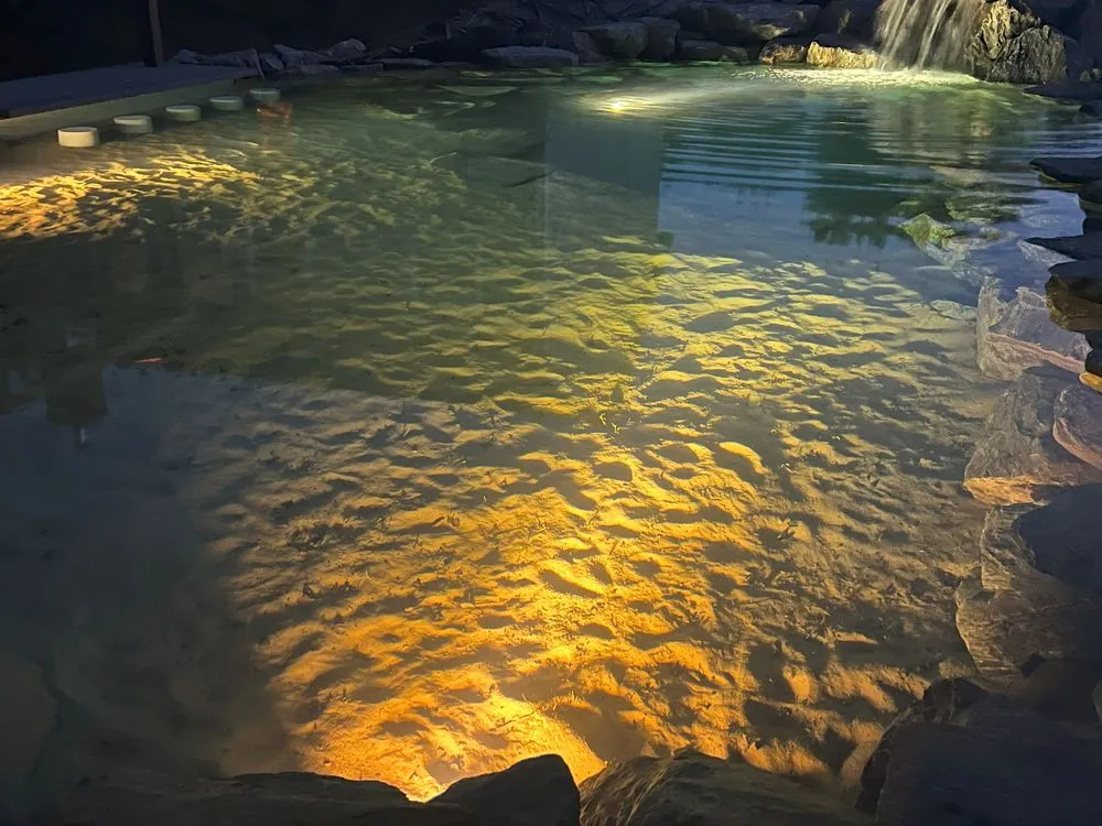 Trusted garden landscaping experts serving Knapp, WI - Dreamscapes Natural Pools
