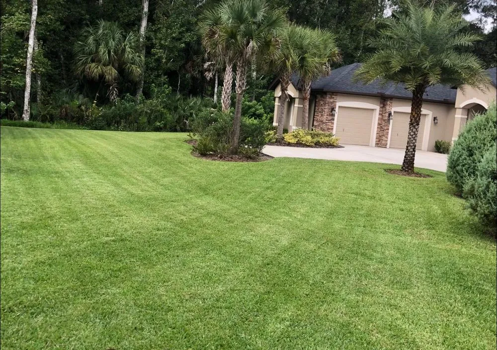 Affordable yard cleanup service near you across Palm Coast, FL - DreamScapes