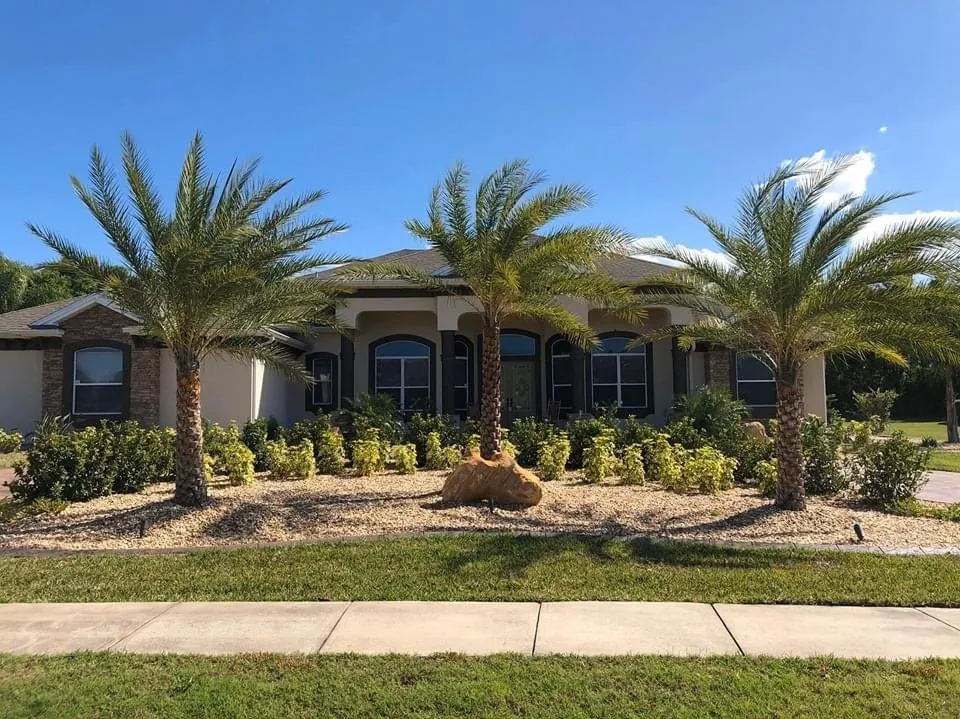 Reliable yard cleanup service for homes across Palm Coast, FL - DreamScapes