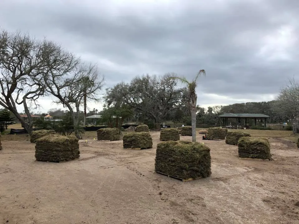 Professional landscaping services in Palm Coast, FL by DreamScapes