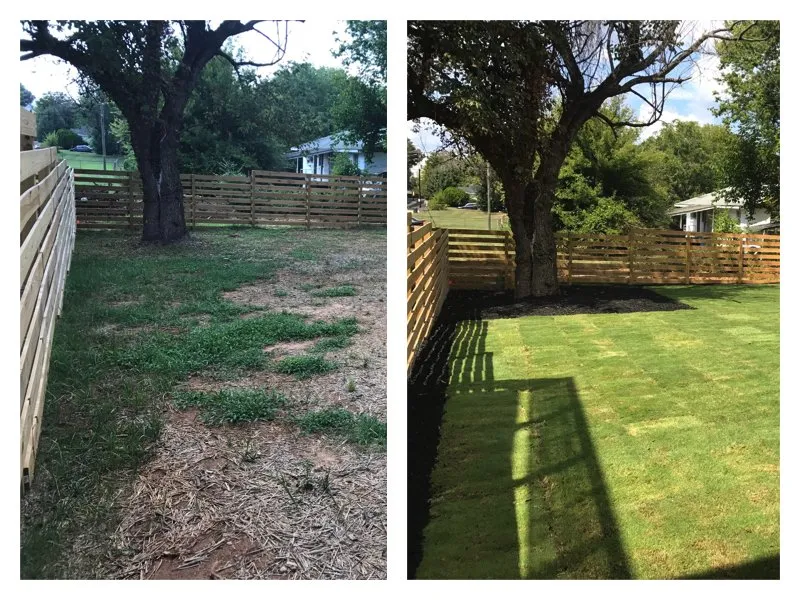 Professional residential landscaping for beautiful yards across Raleigh, NC - Dreamscapes