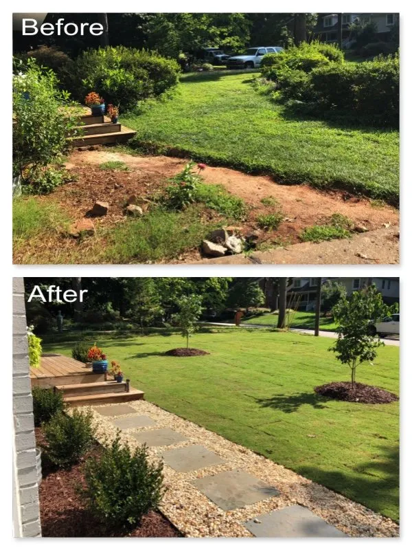Expert yard maintenance in Raleigh, NC by Dreamscapes