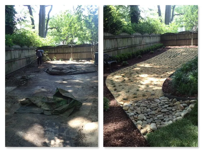 Top-rated yard maintenance in Raleigh, NC by Dreamscapes