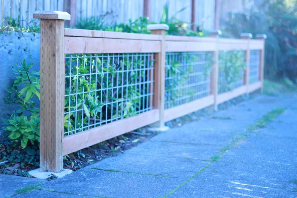 Affordable lawn care service in Seattle, WA - Dreamscapes