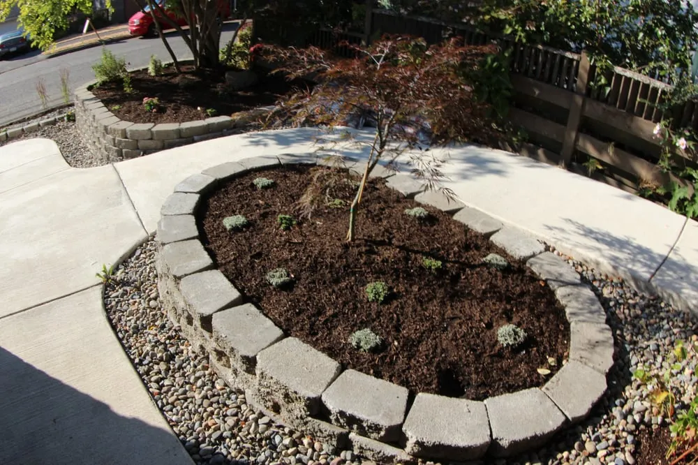 Affordable yard maintenance in Seattle, WA - Dreamscapes