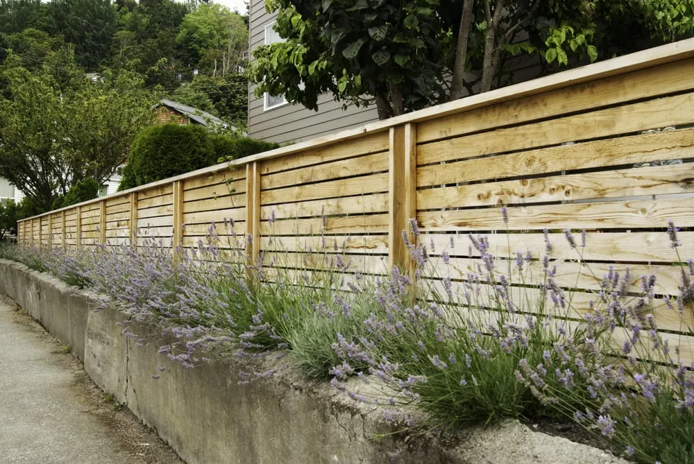 Affordable lawn mowing service in Seattle, WA by Dreamscapes