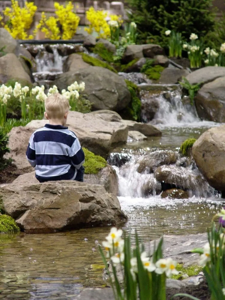 Affordable landscaping services experts serving Lebanon, PA - Dreamscapes Watergardens