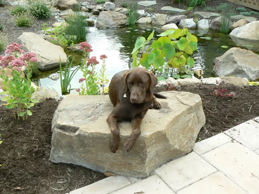 Expert landscape design with custom design in Lebanon, PA by Dreamscapes Watergardens