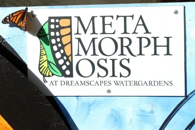 Affordable lawn care service for beautiful yards in Lebanon, PA by Dreamscapes Watergardens