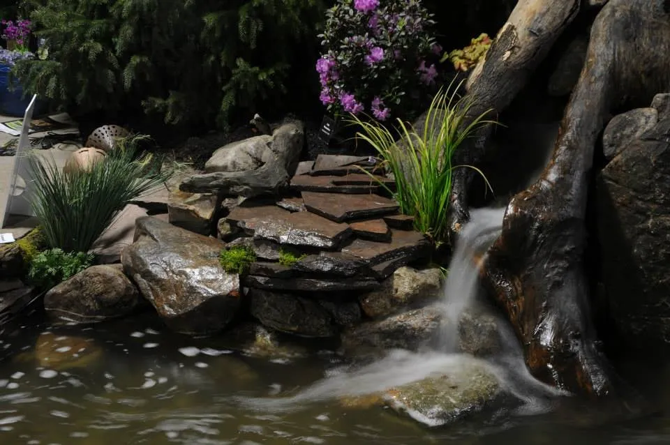 Local yard cleanup service in Lebanon, PA - Dreamscapes Watergardens