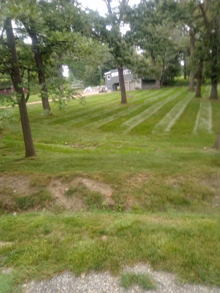 Local landscaping services near you in Lemont, IL by Dreamscaping Yard Maintenace & Drainage