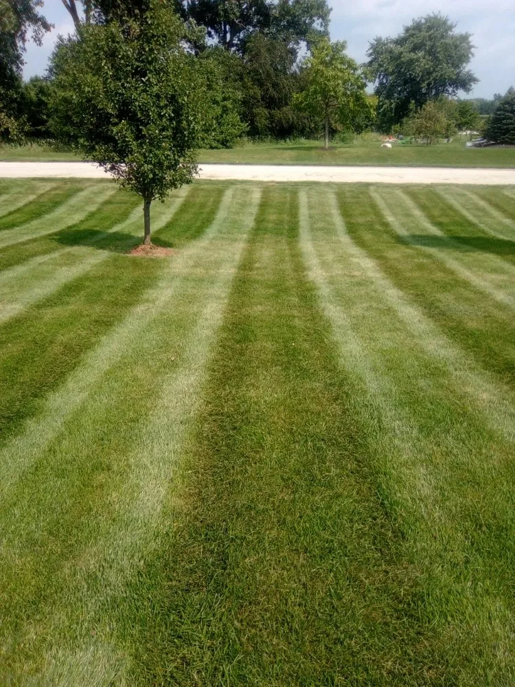 Custom garden landscaping in Lemont, IL - Dreamscaping Yard Maintenace & Drainage
