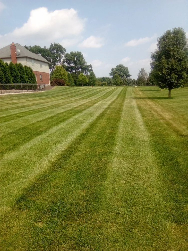 Reliable landscaping services in Lemont, IL by Dreamscaping Yard Maintenace & Drainage